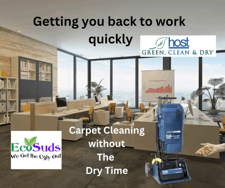 Commercial Office Carpet Cleaning Hamilton