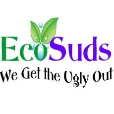 Ecosuds logo