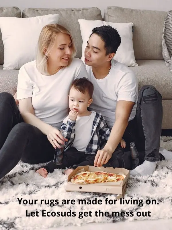 Family eating pizza on area rug. Ecosuds can clean your rug in Hamilton Ontario