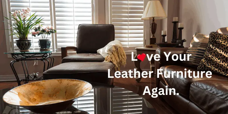 Ecosuds cleans leather sofas and chairs. Love your leather furniture again